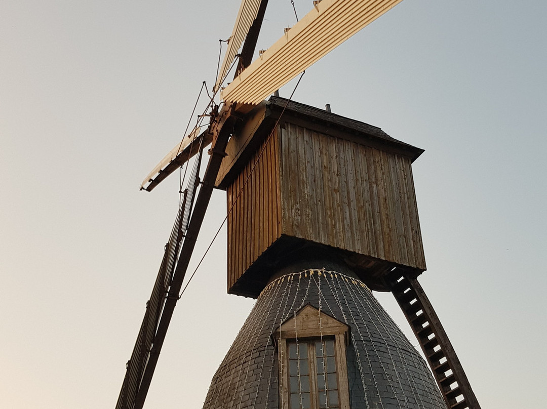 卡维之家酒店主图