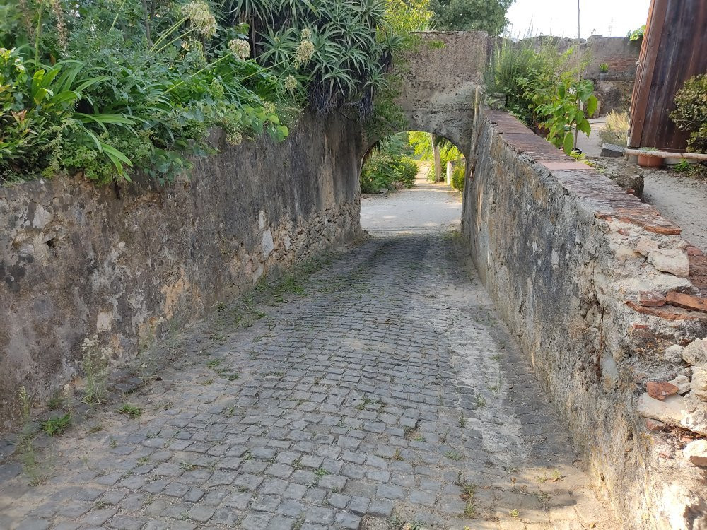 Parque Botânico do Monteiro-Mor景点图片