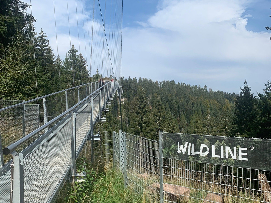 WildLine Hängebrücke景点图片