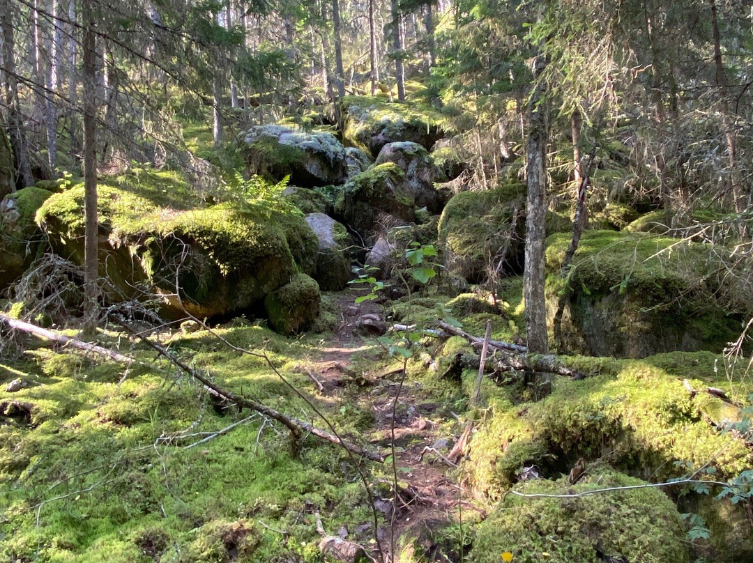 Norra Kvill National Park景点图片