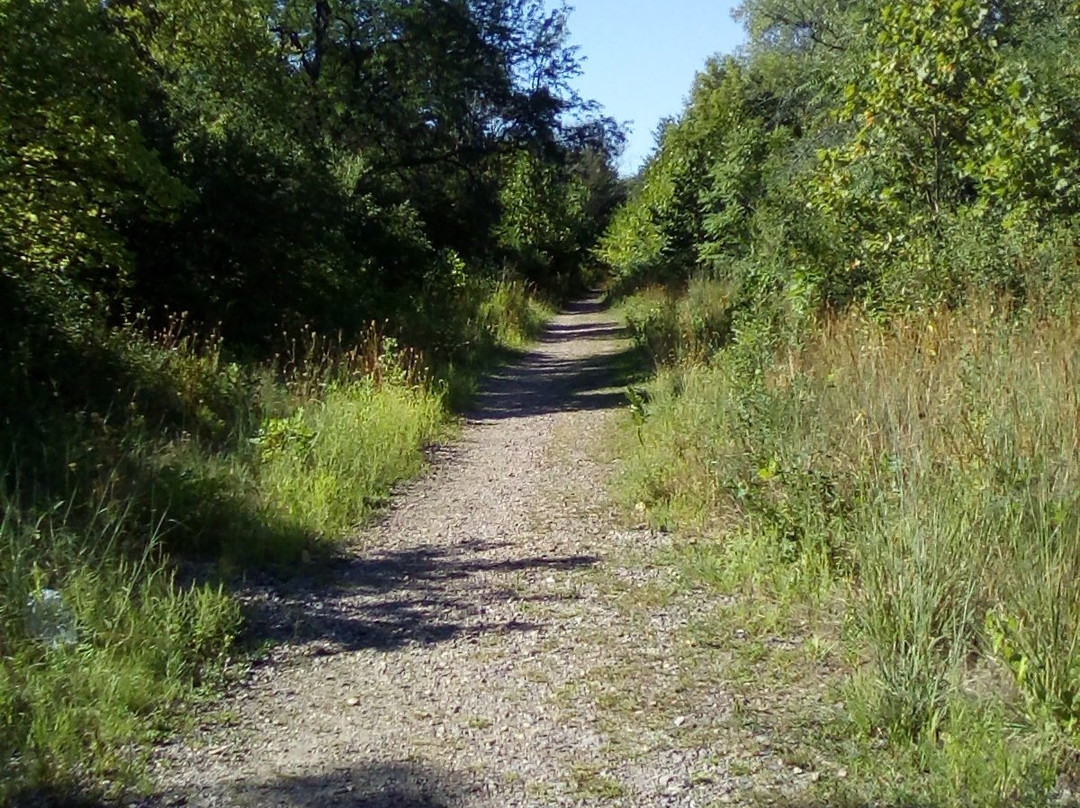 North Branch Bike Trail-斯科基必去景点