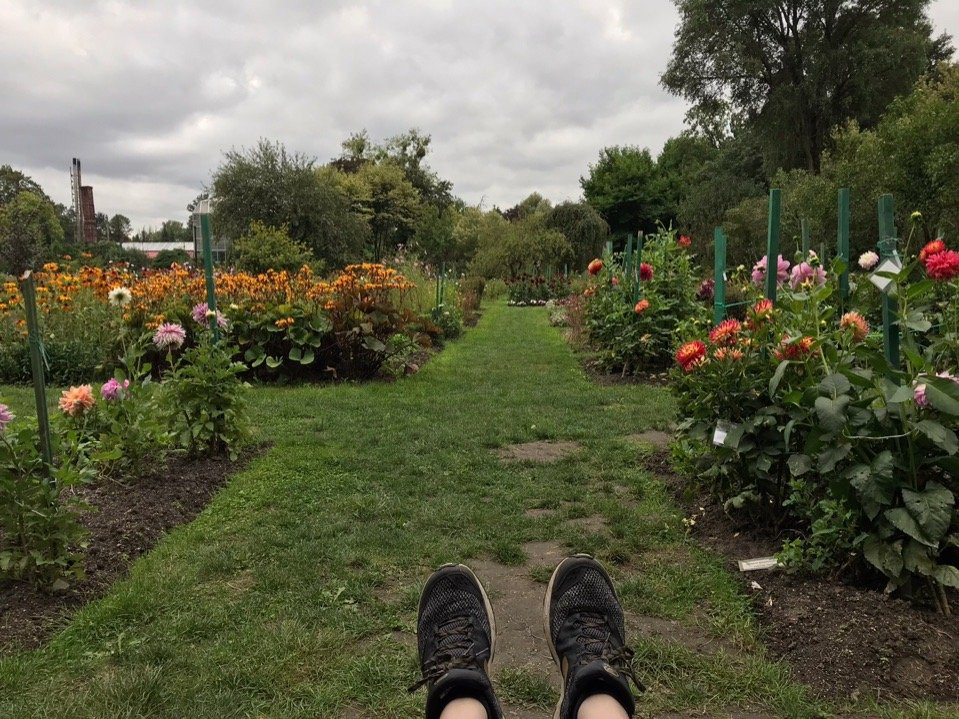 Botanical Garden of the Baltic Federal I. Kanta University-加里宁格勒必去景点