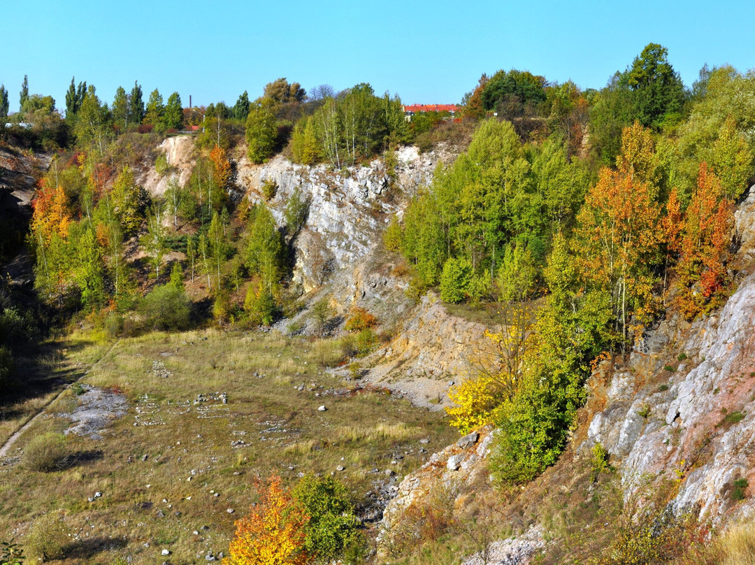 Wietrznia Nature Reserve (Rezerwat Przyrody Wietrznia)景点图片