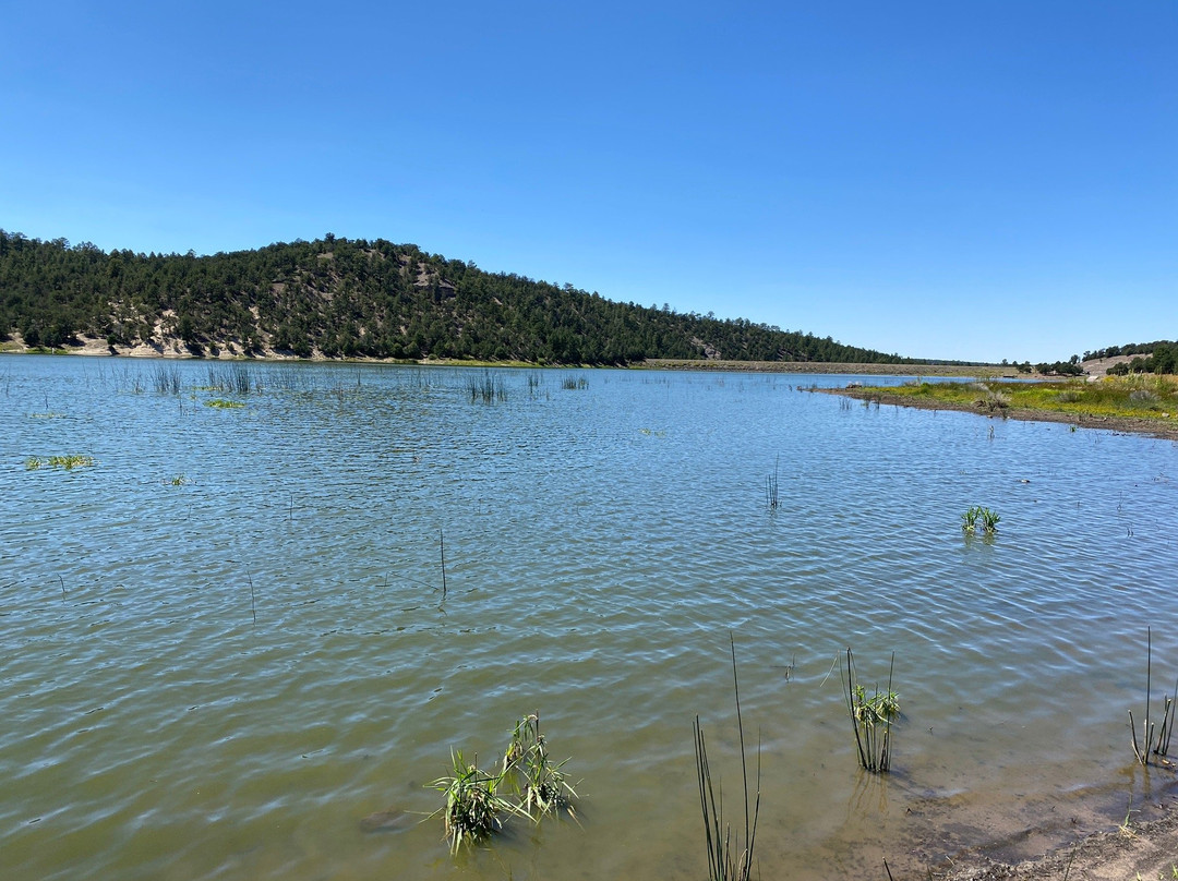 Quemado Lake景点图片