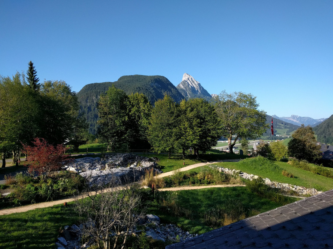 HUUS Gstaad Hotel主图