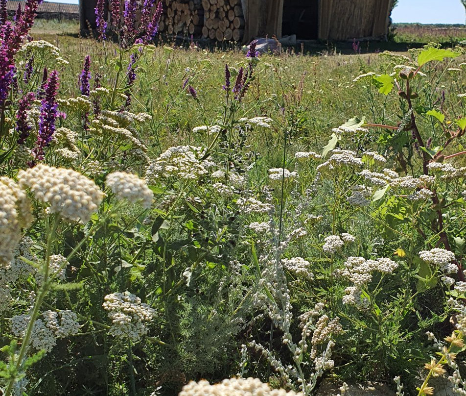 Lomovskoi Natural and Landscape Park-Muzhichye必去景点