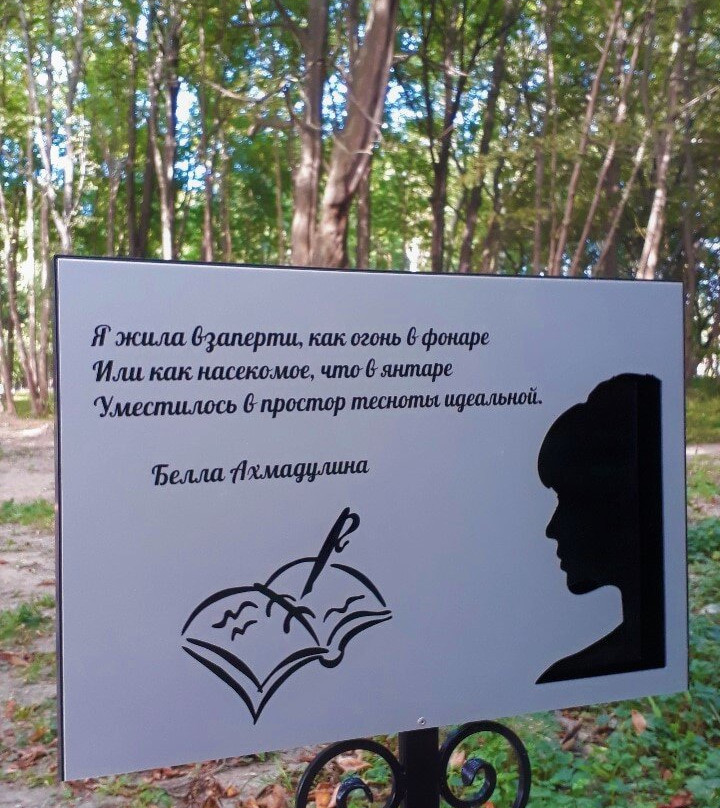 Literaturnaya Yantarnaya Alley景点图片