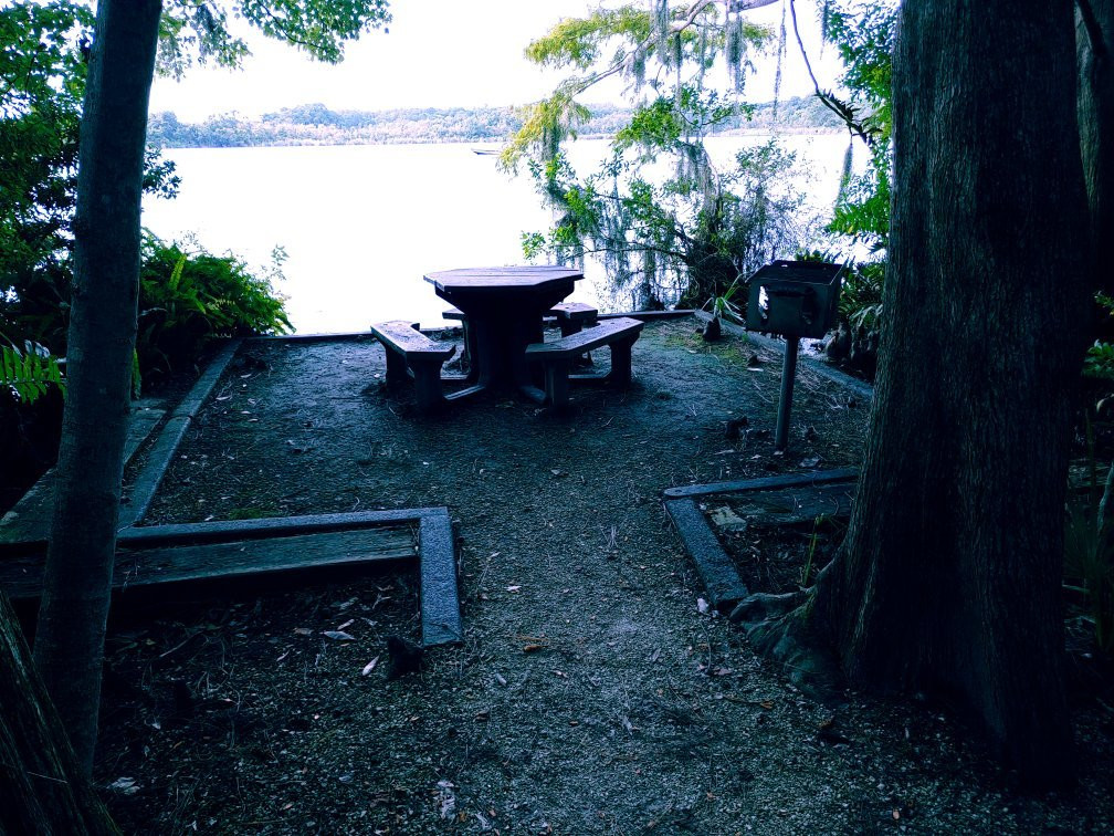 A. L. Anderson Park-塔彭斯普林斯必去景点