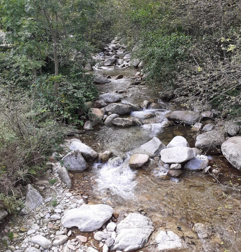 Col d’Ares-Prats de Mollo la Preste必去景点