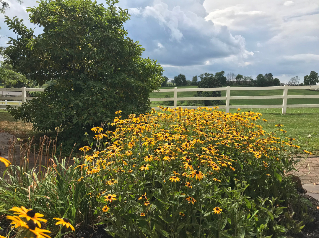 The Inn at Amish Door主图