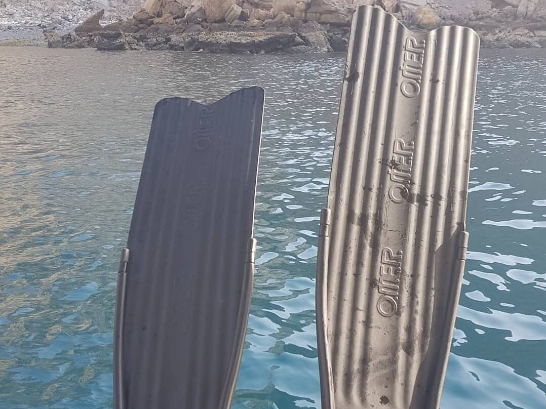 Sea Addicts-Al Hidd必去景点