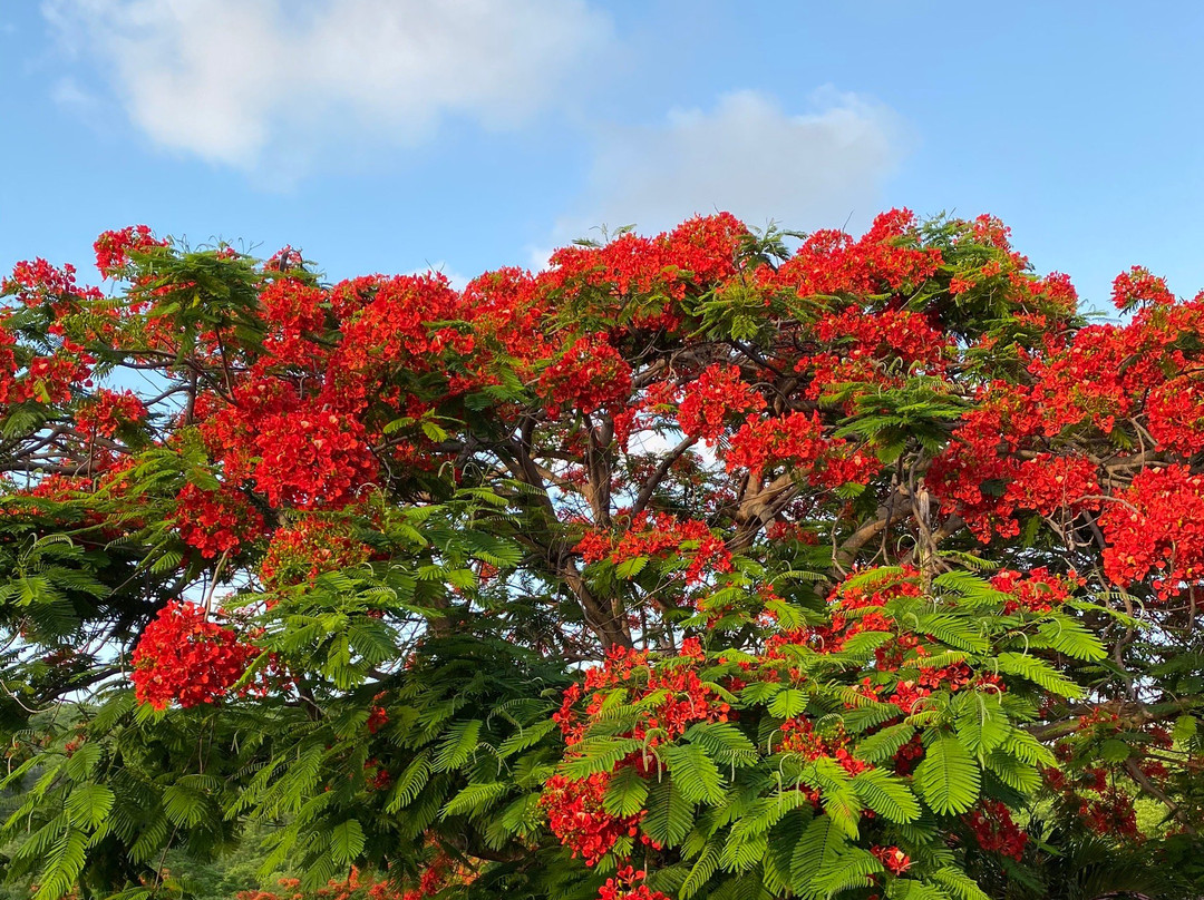 Bella Vita Restaurant and Bar