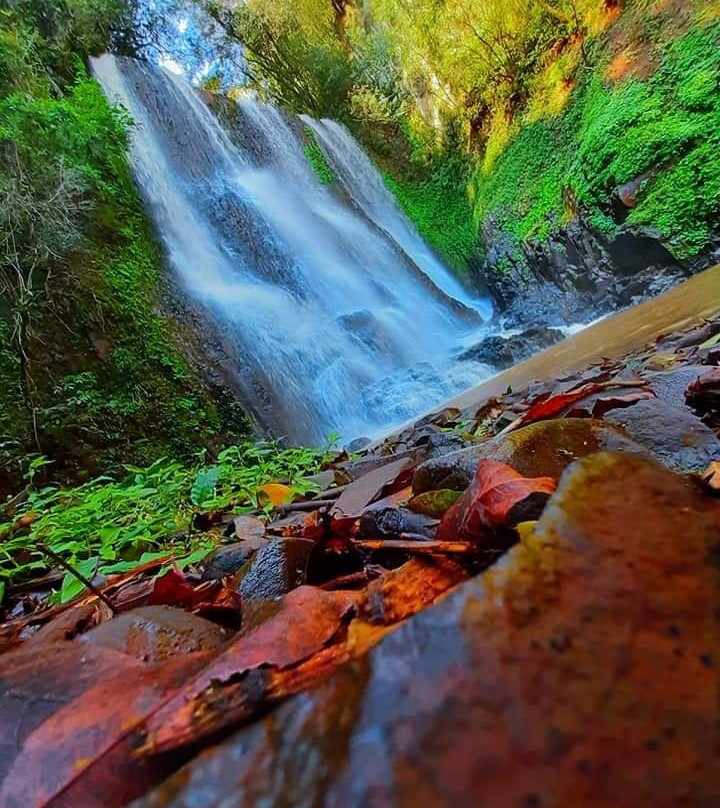 Cachoeira Olivo景点图片