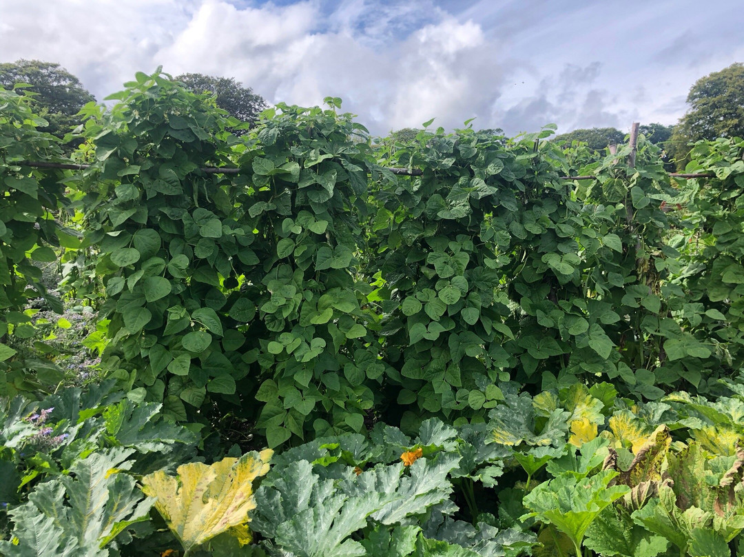 Gordon Castle Walled Garden-Fochabers必去景点