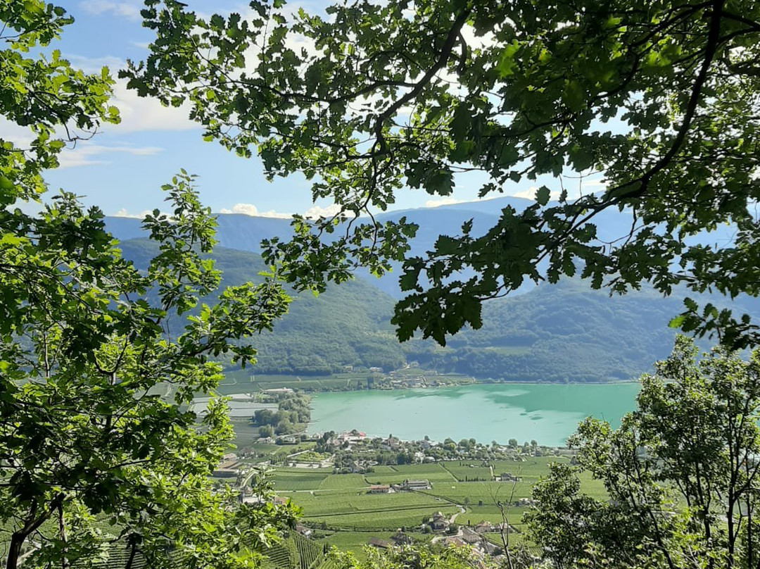 Gola Rastenbach景点图片