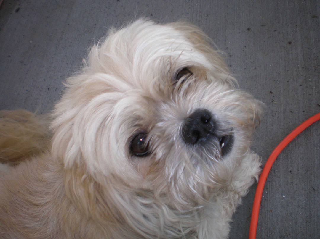 Montana Valley Book Store-Alberton必去景点