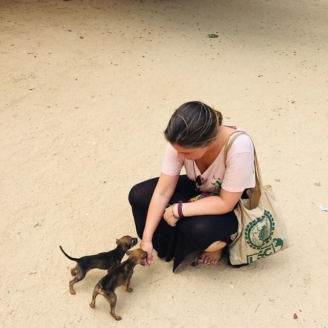 Jaffna Market-贾夫纳必去景点