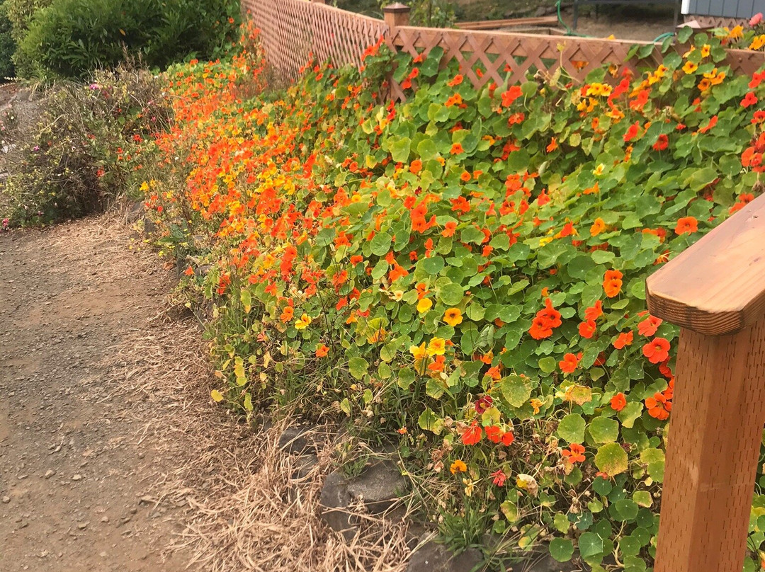 C & M Stables-弗洛伦斯必去景点