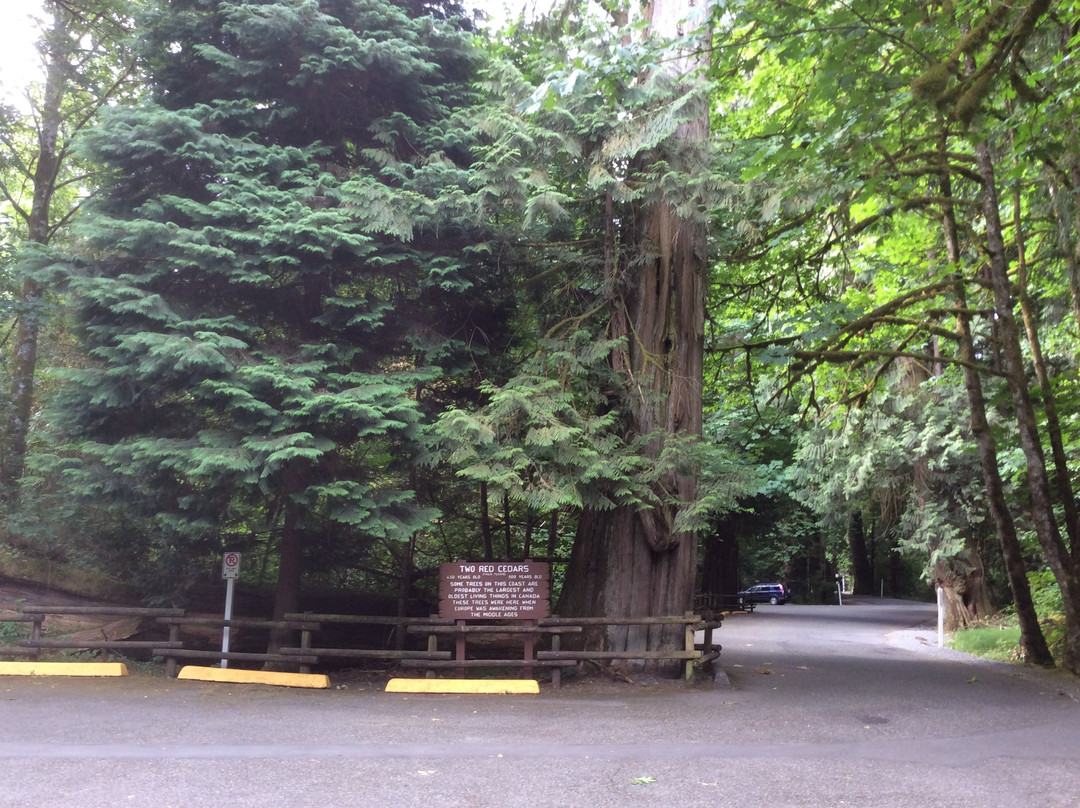 Waterwheel Park景点图片