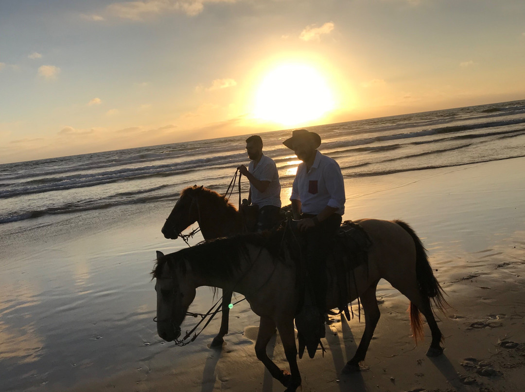 Traditional Horseriding of La Misión-La Mision必去景点