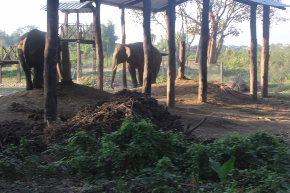 Balmiki Dham-奇旺国家公国必去景点