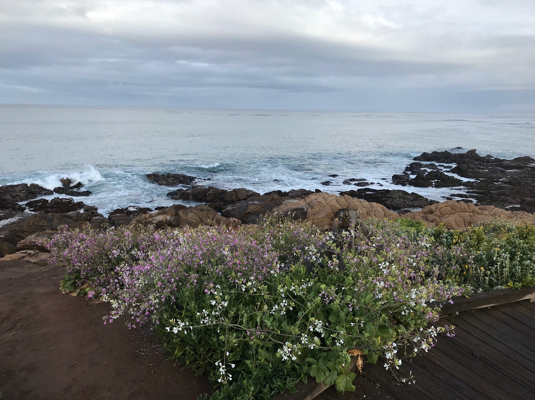 Moonstone Beach Drive景点图片