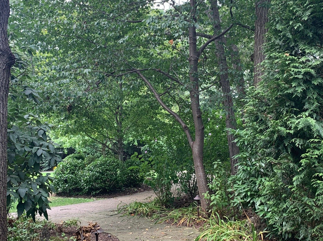 Sachem Public Library-Holbrook必去景点