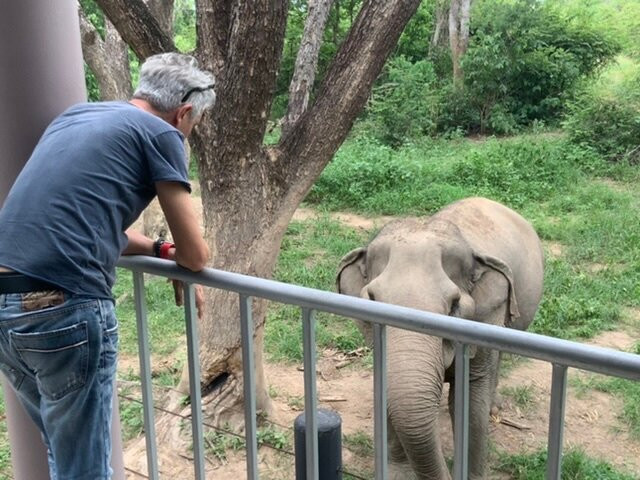 I love phants Lodge主图