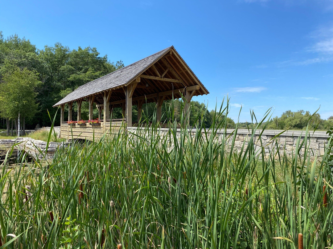 Island Park & Wildlife Sanctuary景点图片