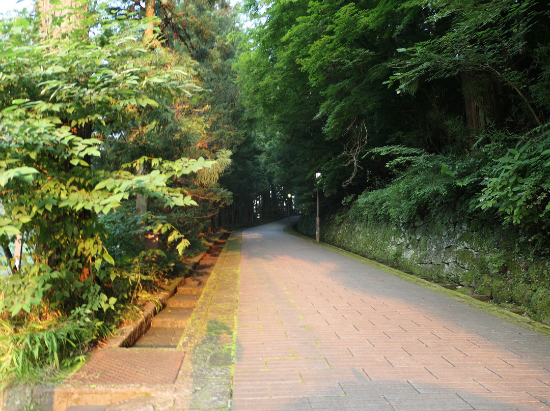 Hoshinomiya Iwasaku Shrine-日光市必去景点