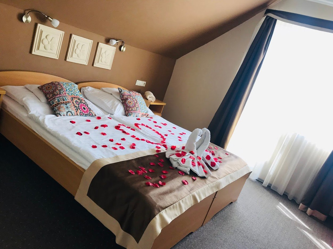 Alfa Hotel and Wellness Center主图