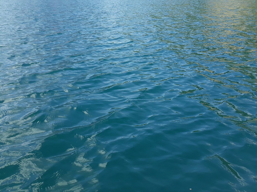 Base Nautique Du Lac Du Verney-Allemond必去景点