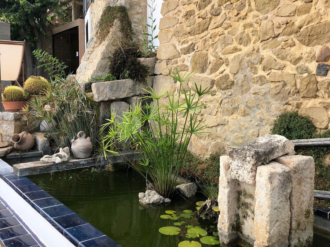 Can Cota Suites & Spa主图