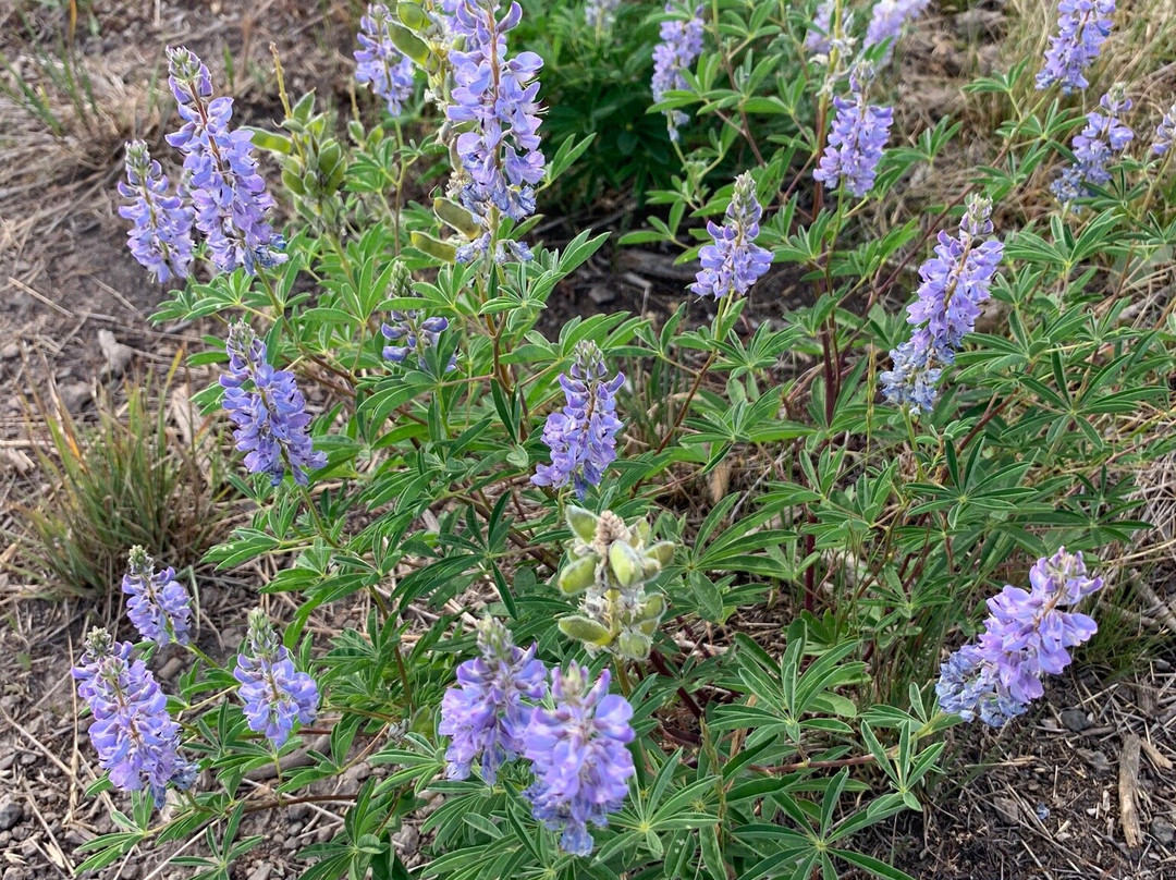 Steamboat Lake State Park-Clark必去景点
