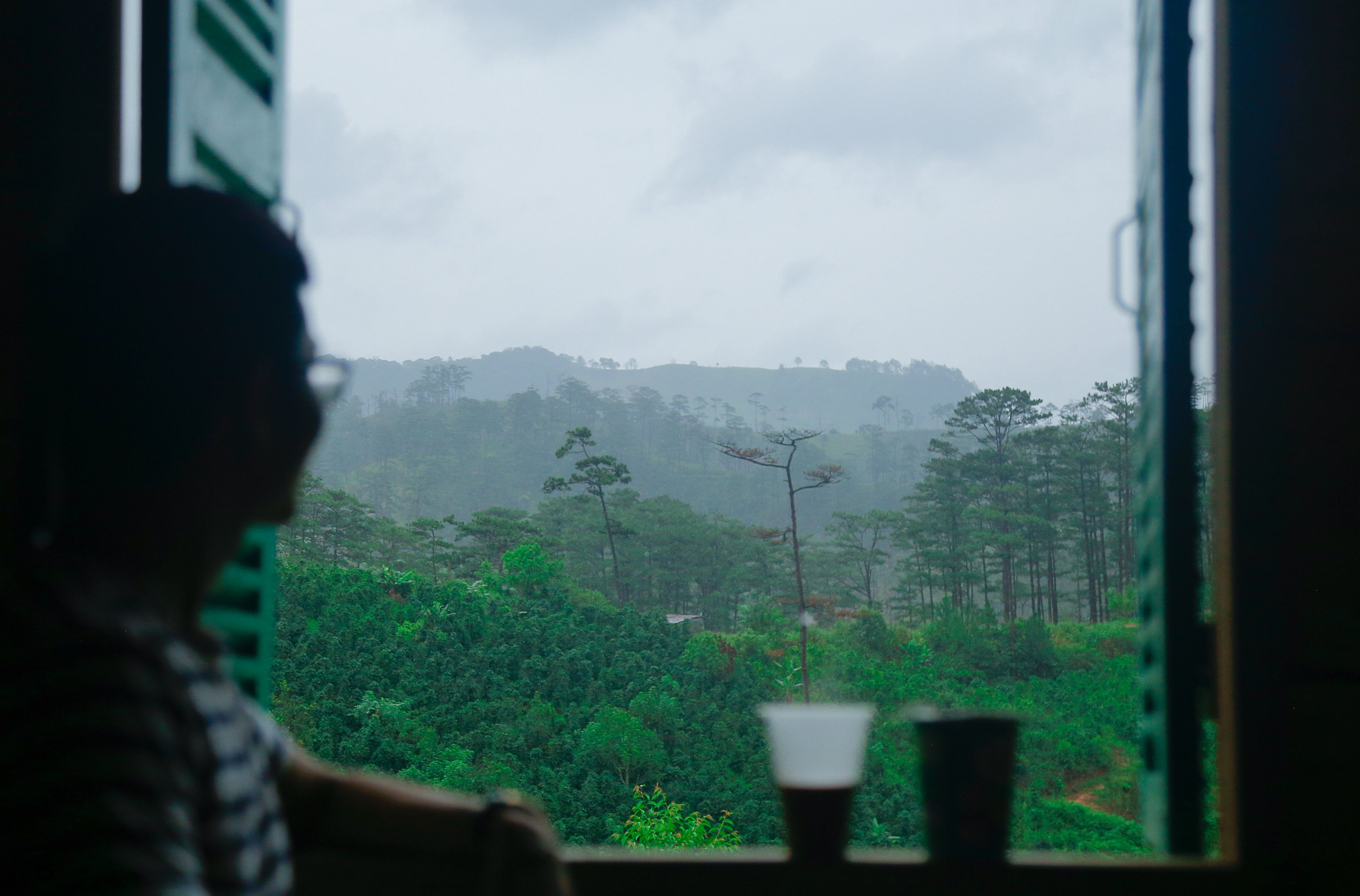 Chappi Mountains Homestay Bungalows & Coffee Resting Station-酒店景观