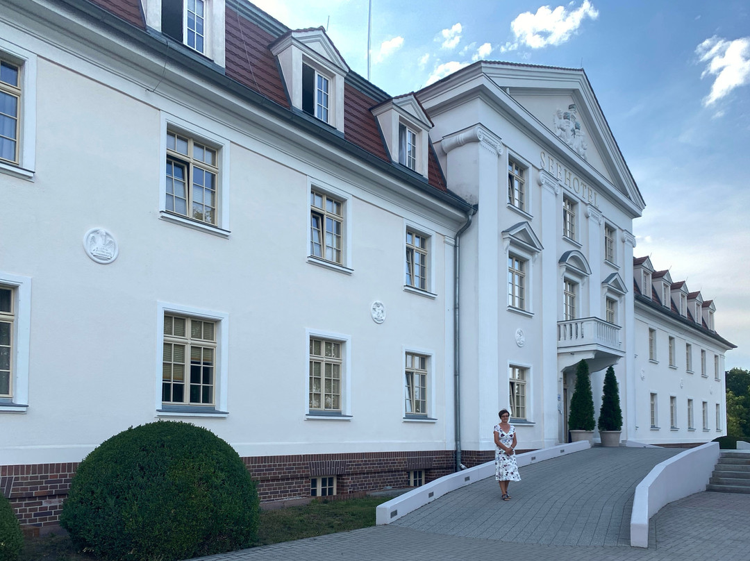 Seehotel Grossräschen主图