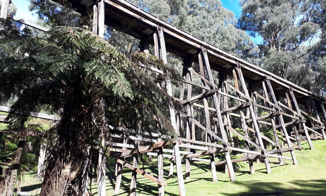 Noojee Trestle Bridge景点图片