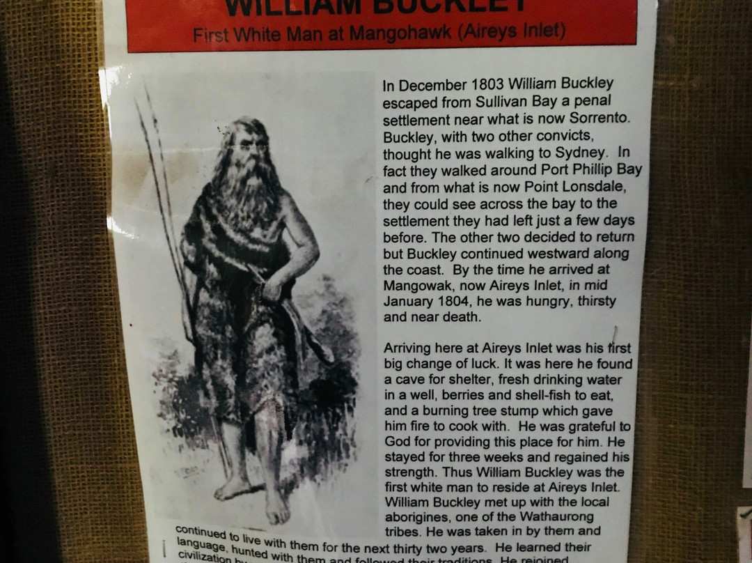 Bark Hut Reserve-Aireys Inlet必去景点