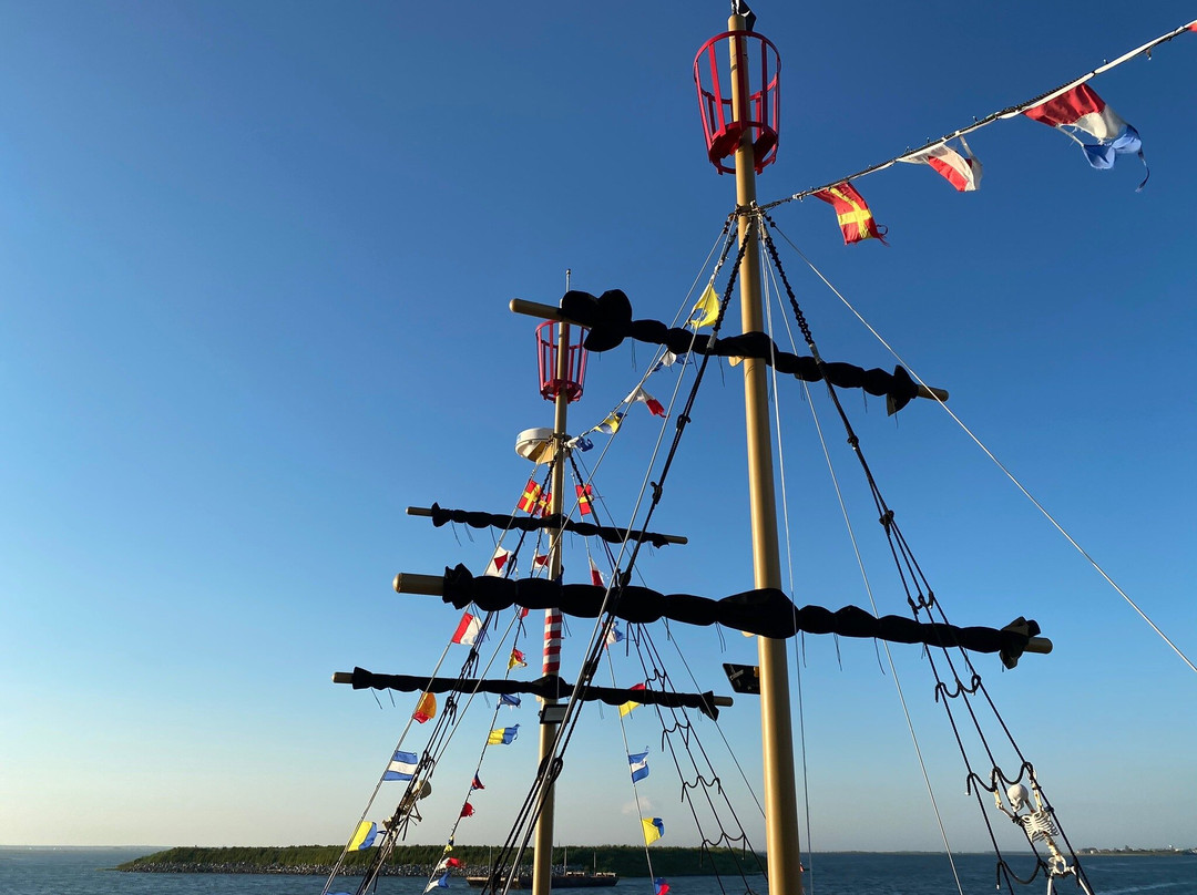 Black Pearl Pirate Tours景点图片