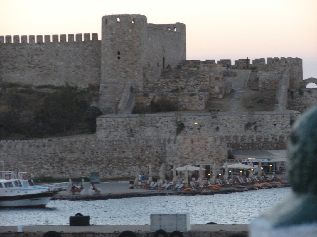 Bozcaada Kalesi景点图片