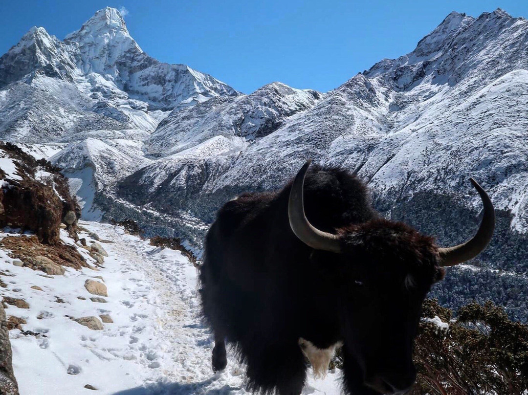 Mt. Ama Dablam-萨加玛塔国家公园必去景点