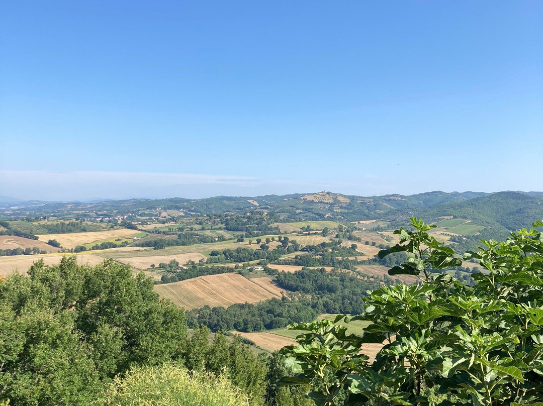 Il Borgo Sulla Collina B&B主图