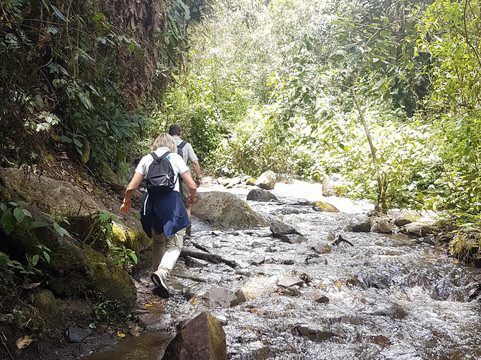 IBANA Colombia-佩雷拉必去景点