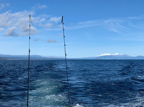 Fish Taupo-陶波必去景点