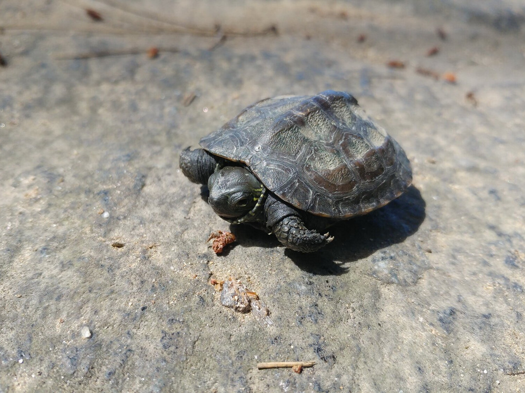 Semiwon-杨平郡必去景点