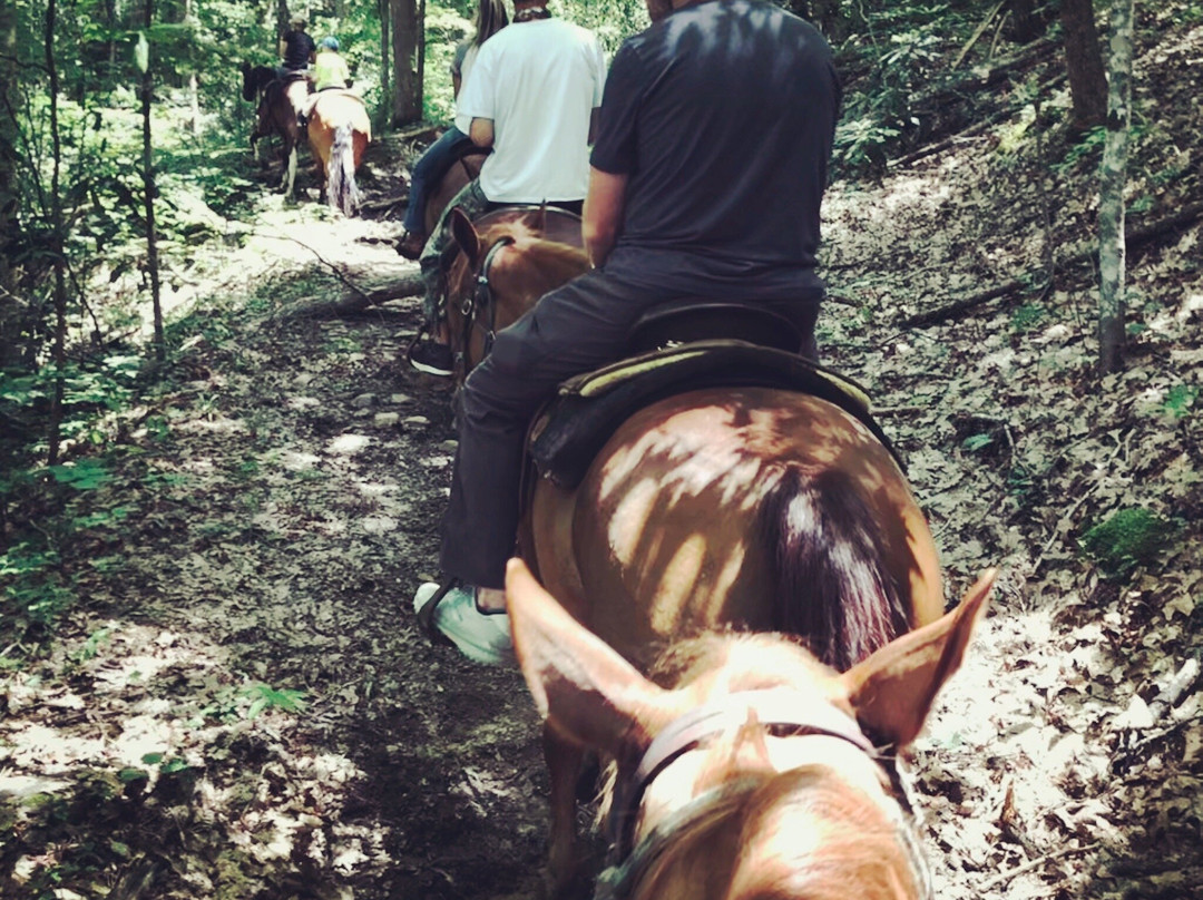 Chunky Gal Stables-Hayesville必去景点