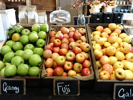 Folded Hills Farmstead-戈利塔必去景点