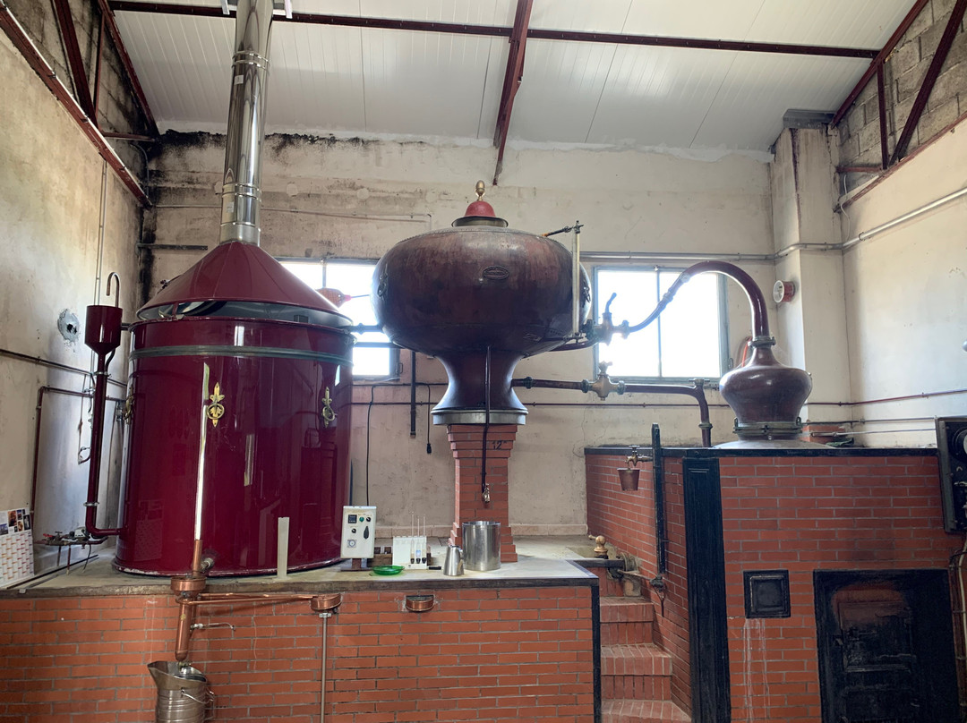 Cognac Raby景点图片
