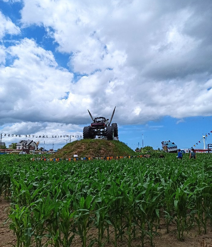 Labirynt w polu kukurydzy景点图片