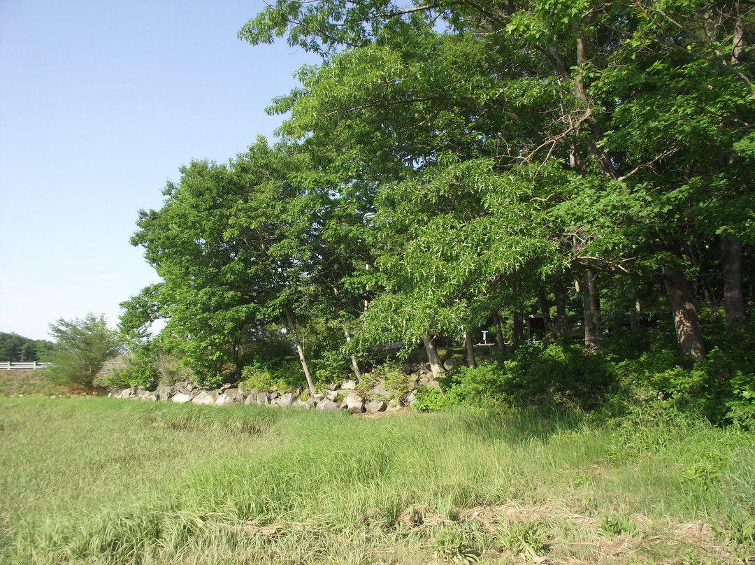 William A. Bray Memorial Park景点图片